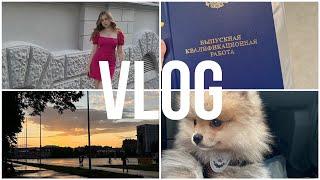 VLOG: куда я переехала | результаты вступительных | купили собаку | распаковка с WB