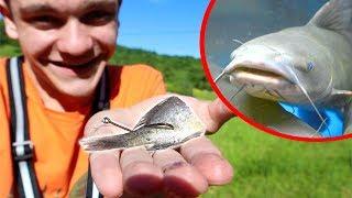 CATFISHING with CUT BAIT!!!