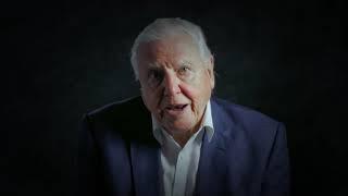 How to avoid waste | David Attenborough: A Life On Our Planet