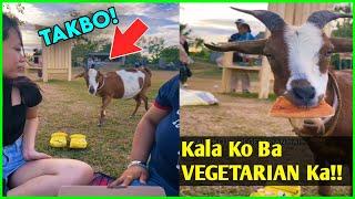 SAWA NA SA DAMO KAYA IBA ANG INARARO!FUNNY VIRAL VIDEOS•EPIC FAIL MOMENTS•FUNNY MEMES 2025