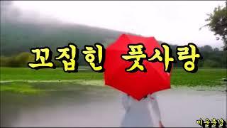 꼬집힌 풋사랑  -  나훈아