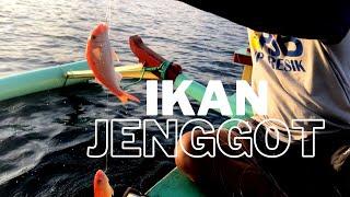 MANCING IKAN JENGGOT TEKNIK HANDLINE AUTO STRIKE BERTUBI-TUBI