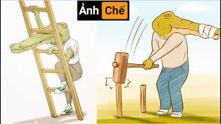 Nỗi Khổ Của Cá Sấu | Những Hình Ảnh Hài Hước (P 95)