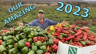 A VEGETABLE FARMERS 2023 FROM PLANTING TO HARVEST