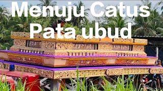 MENUJU CATUS PATA UBUD #suryapangkung