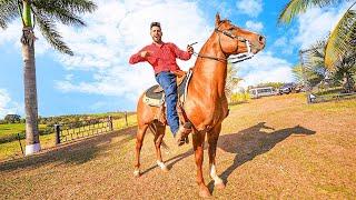 FIZ A PRIMEIRA CAVALGADA  COM MEU CAVALO NOVO