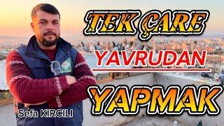GÜVERCİN SEVGİSİ ANLATILMAZ YAŞANIR SEFA KIRCILI