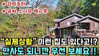 공짜 소나무가 집 뒤에 백그루!? 독보적인 위치!! 건강이라는 단어가 딱 어울리는 주택입니다. 경남 산청군 신안면 외송리 마을 산청전원주택매매 / 산청부동산