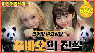 REI & LIZ’s first fan activity Everland Fubao Course Summary! | Follow REI EP.13