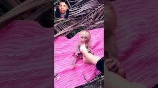 Feisty Baby Monkey Throws a Tiny Tantrum Over Food! #CuteMonkey #BabyAnimalAnger #AdorableTantrum