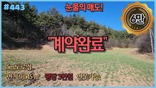 #443 [반값땅], 눈물의 매도,  9,045 ㎡(2,736평), 태안 사창리, 나즈막한 임야, 도로접, 반경10km 항구와 유명해수욕장, 귀농귀촌, 주인직접