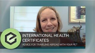 Traveling Abroad With Your Pet? A Veterinarian's Advice on International Health Certificates