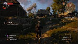 The Witcher 3 AARD BUILD IS SO GOOD!