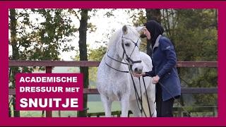 Mijn 23 jarige pony in de Academische Rijkunst | lees beschrijving! | snuitable