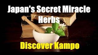 Healing Herbs of Japan - A Journey into Kampo Medicine | Pure Holistic Harmony