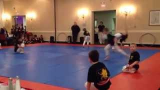 Hickey Karate Center Demonstration Team 2014