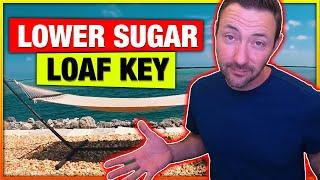 Lower Sugar Loaf Key [FULL VLOG TOUR]