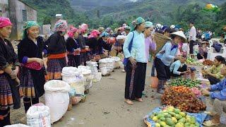 CHỢ ĐOÀN KẾT PHIÊN CHỢ BÁN NHIỀU ĐỒ LẠ VÀ THẢO DƯỢC NHẤT TP LAI CHÂU | TÔI NGƯỜI VÙNG CAO