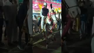 horse dancing in Maharashtra Payal ghodi #shorts Ravsaheb Patil Fondshiras