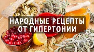 Калина с медом от давления/Как снизить давление без лекарств