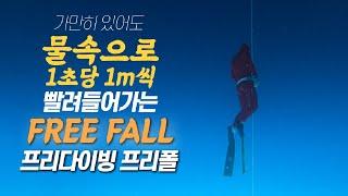 가만히 있어도 점점 물속으로 빨려들어가는 프리다이빙의 꽃 프리폴(free fall)이 뭐지?