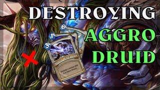 Hearthstone - Destroying Aggro Druids