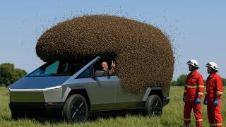 American Cybertruck Rescue Story: Beetruck attacked. Saved by yellow pyjamas.” 