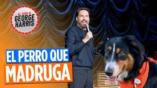 El Show de George Harris 23/12/24 - MI PERRO ES MADRUGADOR 