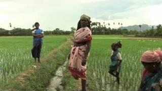 Rural Challenges: Inequalities and Development (Preview)