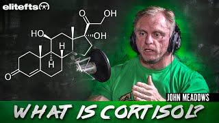 What is Cortisol? John Meadows Explains the Pros & Cons of the Effects | elitefts.com