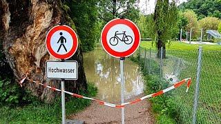  Hochwasser am Hochrhein - Land unter live aus Waldshut-Tiengen am 01.06.2024