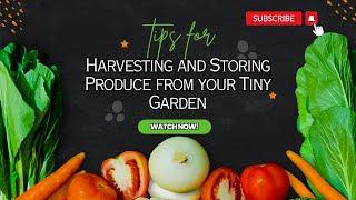 Harvest & Store Your Garden's Bounty