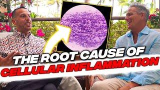 Dr. Pompa | The Root Cause of Cellular Inflammation