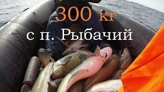 ОЧЕНЬ УДАЧНАЯ РЫБАЛКА п. Рыбачий Баренцево море