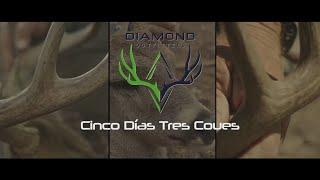 Cinco Dias, Tres Coues with Diamond Outfitters 2024 (5 Days, 3 Coues)