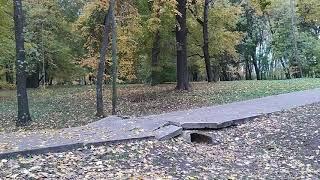 С днем учителя из Ахлябиновской рощи.  Мой стрим, которого не было