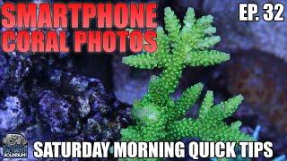 Taking CORAL PHOTOS With Your Smartphone - Saturday Morning Quick Tips