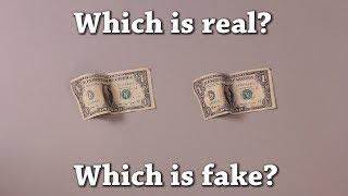 Fun Test: Which is Real? Vol 8