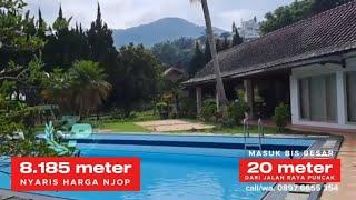 VILLA PUNCAK DIJUAL | 8.185 METER | 15 Milyard NEGO