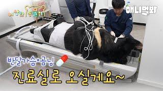 웬만해선 안 볼 수가 없다 (반달가슴곰, 황새의 건강검진🩺) | 이상한동물원 E.15 | Why Can't We Stop Watch Them (Bear & Stork)