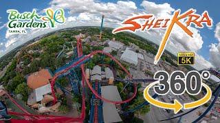 VR 360 5K Sheikra Roller  Coaster On Ride Front Seat Ultra HD POV Busch Gardens Tampa 2019-10-05