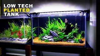 Aquascape Tutorial: Beginner Java Fern / Anubias Aquarium (How To: Step By Step Planted Tank Guide)