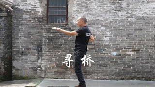 THE SNAKE HANDS OF YIU CHOI WING CHUN