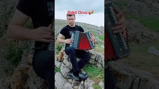 Həyati Rəksi Zabil Oruc Gədəbəyli