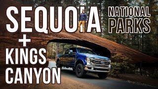 Sequoia & Kings Canyon National Parks: 2024 Travel Guide (Road Closures, Best Trails & Camping Info)