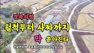 경북의성 구천수로에서 월척부터 사짜붕어 가 막 쏟아집니다 #붕어낚시