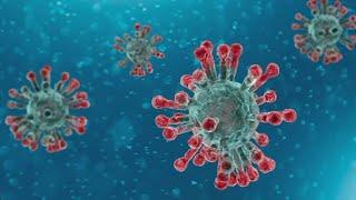New contagious COVID-19 variant now circulating in California, health experts warn: What to know