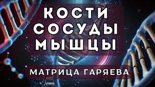 Исцеляющая Матрица | Исцеление Костей, Сосудов и Мышц | Мощная Программа для Восстановления Тела