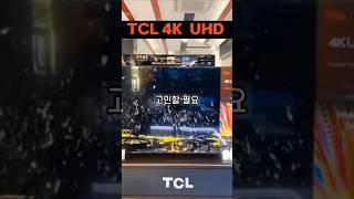 2배 비싼 삼성 OLED 대신 TCL 4K 선택한 이유!