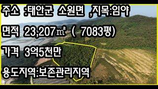 태안군 소원면임야  7083평 보존관리 평당5만,조절가능 ,삼담전화   그린공인중개사  황규섭  010-6754-8945